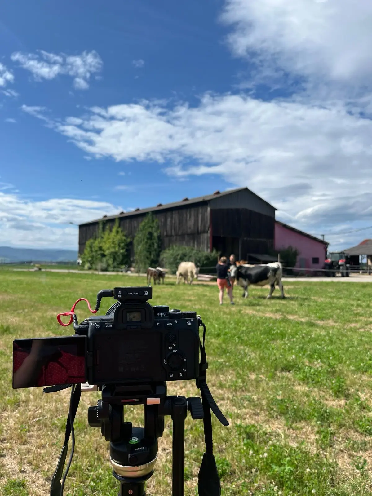 video dans la campagne près de Mulhouse