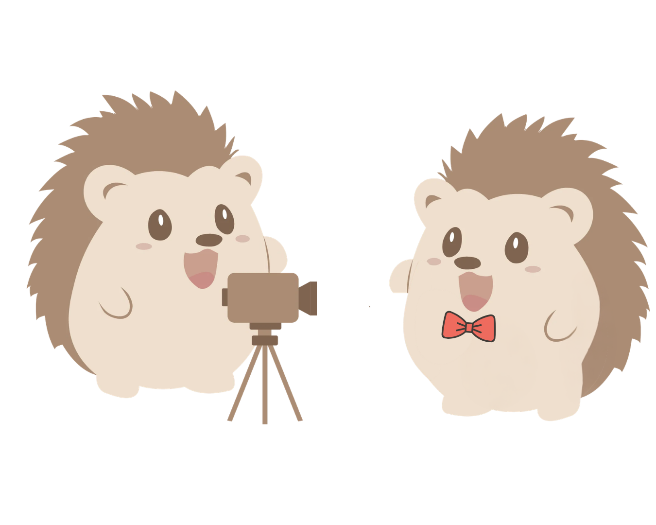videaste d'entreprise studio hérisson