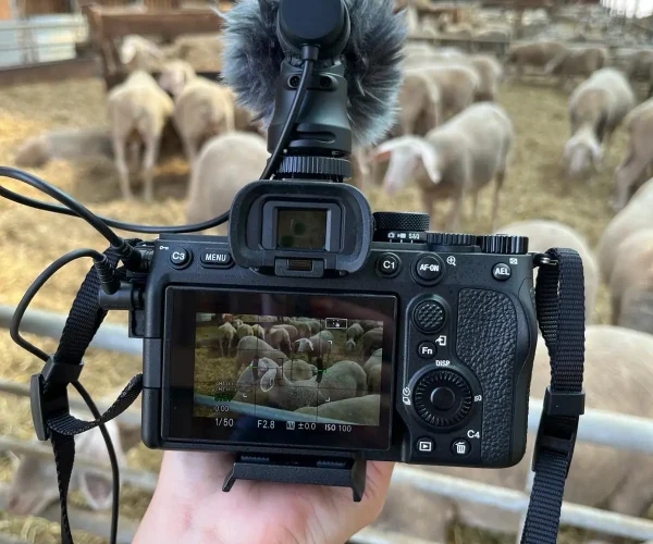 vidéaste en Alsace